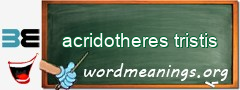 WordMeaning blackboard for acridotheres tristis